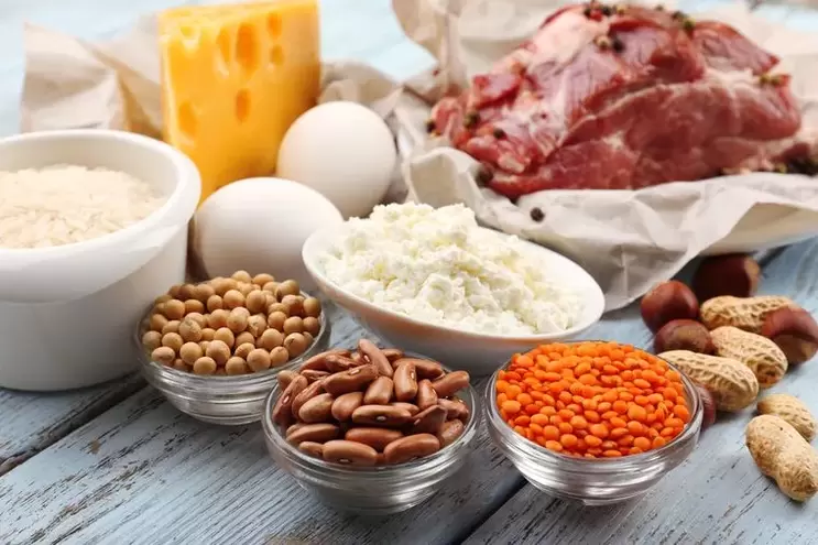 מוצרים לדיאטת חלבונים